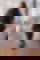 642735550