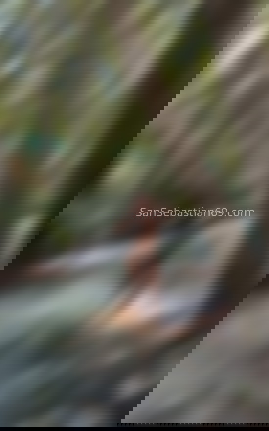 Vanesa, mujer trans divertida. 632018148. Citas en SAN SEBASTIÁN, SAN SEBASTIÁN. www.sansebastian69.com.