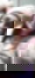 603573729