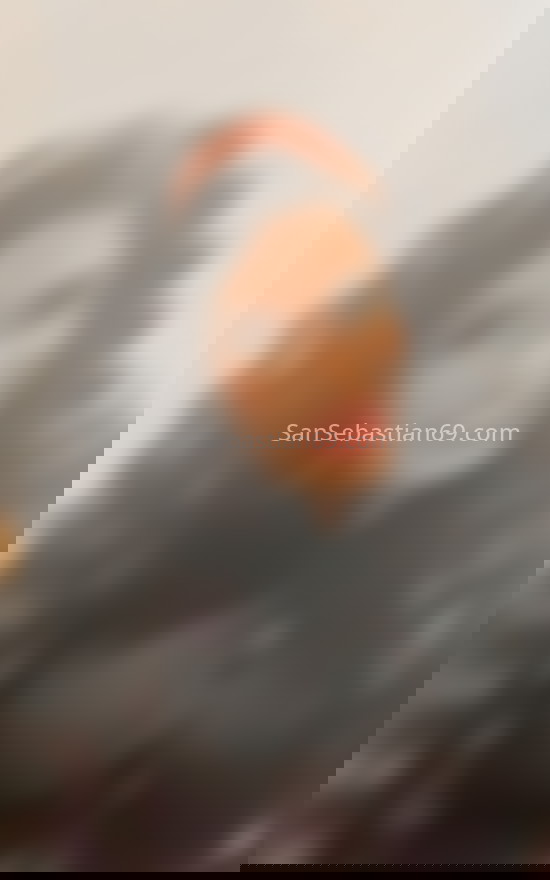 Amanda, trans venezolana 25 años. 643991589. Citas en SAN SEBASTIÁN, SAN SEBASTIÁN. www.sansebastian69.com.