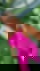 663690344