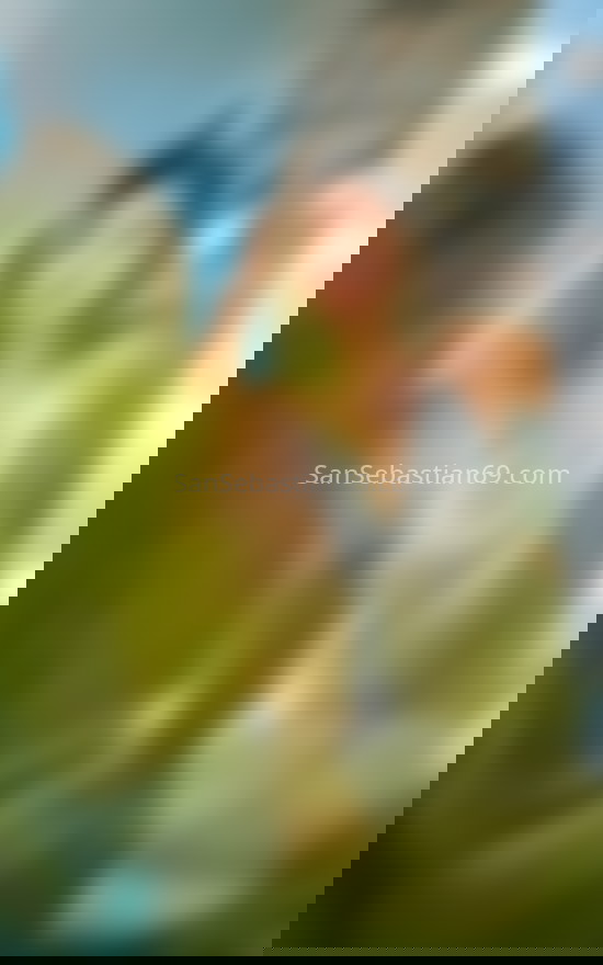 Lara, joven colombiana . 603313935. Citas en SAN SEBASTIÁN, SAN SEBASTIÁN. www.sansebastian69.com.
