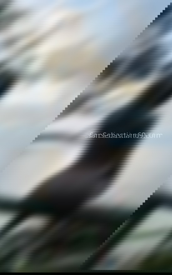Ainara Cadavid, hermosa trans colombiana. 611279967. Citas en SAN SEBASTIÁN, SAN SEBASTIÁN. www.sansebastian69.com.