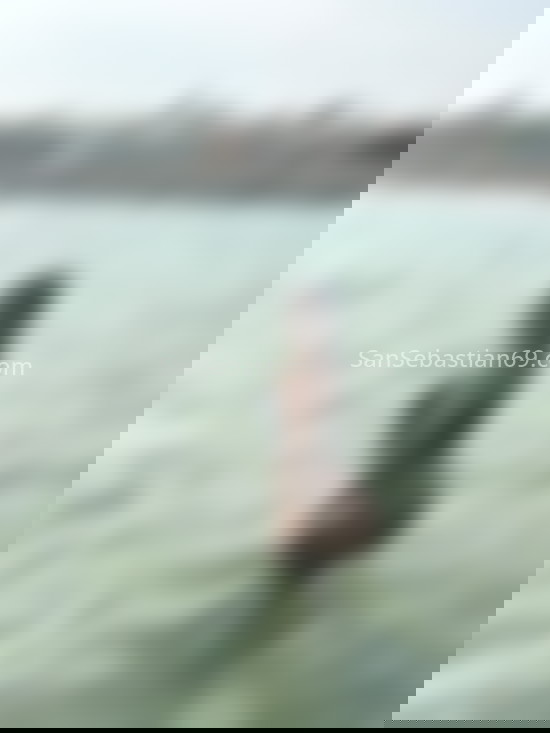 Diosa, joven venezolana . 603841430. Citas en SAN SEBASTIÁN, SAN SEBASTIÁN. www.sansebastian69.com.